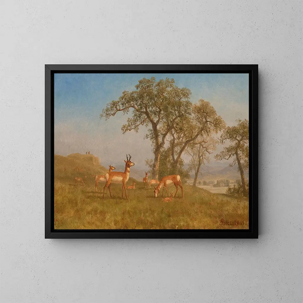 Antylopa pasąca się - Albert Bierstadt — oprawiony obraz na ścianie