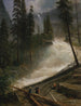 Spadające wodospady Nevady w Yosemite - Albert Bierstadt — widok dzieła