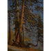 Park w Vancouver - Albert Bierstadt — widok dzieła