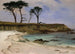 Anse marine - Albert Bierstadt — widok dzieła