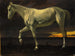 Biały koń i zachód słońca - Albert Bierstadt — widok dzieła