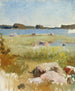 pejzażu nieukończonego archipelagu - Albert Edelfelt — widok dzieła