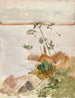 Nadbrzeże morskie w blasku księżyca - Albert Edelfelt — widok dzieła