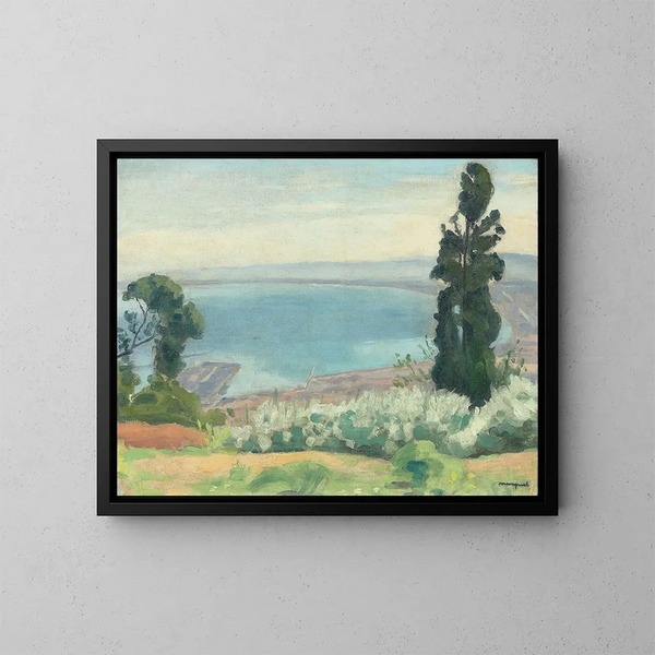 Baie d'Alger vue d'El-Biar - Albert Marquet — oprawiony obraz na ścianie
