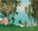 La plage vue à travers les eucalyptus - Albert Marquet — widok dzieła