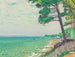 Pins à Pyla - Albert Marquet — widok dzieła