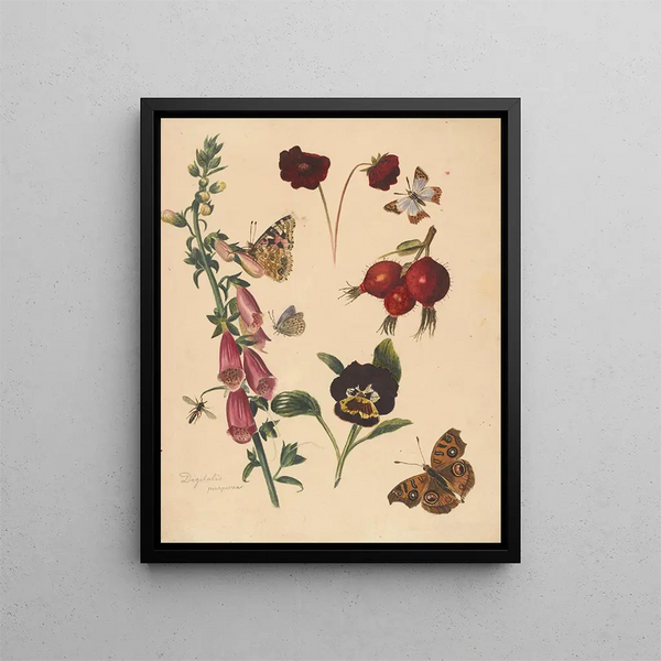 Fiche d'étude avec des fleurs et des papillons - Albertus Steenbergen — oprawiony obraz na ścianie