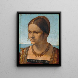 Albrecht Drer - Portrait of a young Venetian woman (Case Conflict).webp