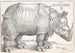 Le Rhinocéros - Albrecht Dürer — widok dzieła