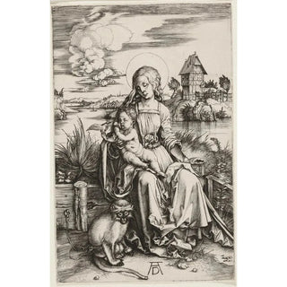 Albrecht Drer - Virgin and Child with the Monkey.webp