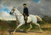 portretu konnego - Albrecht Grueber — widok dzieła
