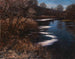 Staw - Alexander Koester — widok dzieła