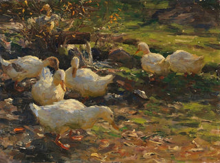 Kaczka nad wodą - Alexander Koester — widok dzieła