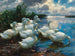 Kanarki nad brzegiem jeziora - Alexander Koester — widok dzieła