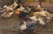 Kaczki przed stodołą - Alexander Koester — widok dzieła