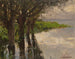 Reichenau, Weiden am See, słońce - Alexander Koester — widok dzieła
