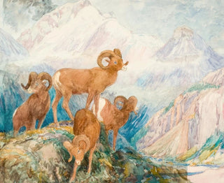 Mouflon des Big Horn - Alexander Phimister Proctor — widok dzieła