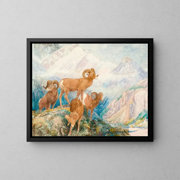 Mouflon des Big Horn - Alexander Phimister Proctor — oprawiony obraz na ścianie