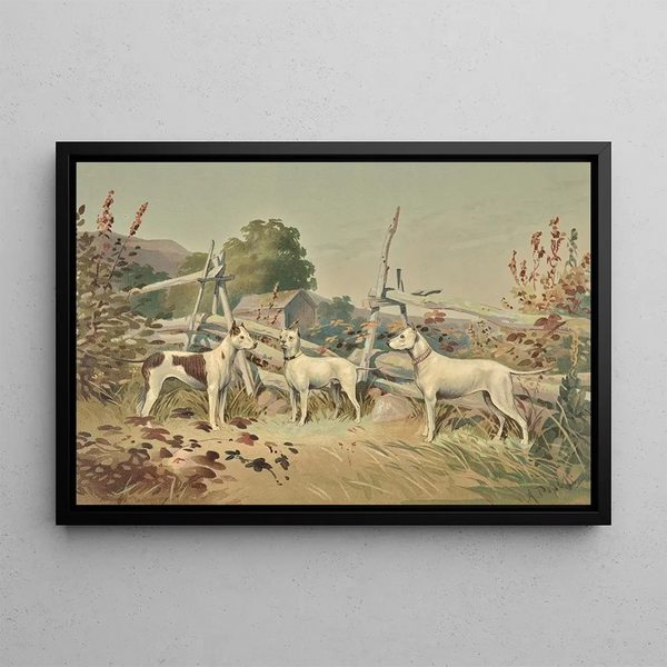 Alexander Pope Jr - Three standing white dogs with cropped ears one with liver spots.webp