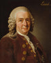 Carl von Linné 1707-1778 botanik profesor - Alexander Roslin — widok dzieła