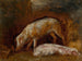 Studium świń - Alexandre-Gabriel Decamps — widok dzieła