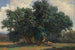 pejzaż z dębami - Alexandre Calame — widok dzieła