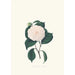 Ilustracje i opisy roślin tworzących naturalny porządek Camellieae Pl07 - Alfred Chandler — widok dzieła