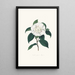 Ilustracje i opisy roślin tworzących naturalny porządek Camellieae Pl09 - Alfred Chandler