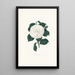 Ilustracje i opisy roślin tworzących naturalny porządek Camellieae Pl11 - Alfred Chandler