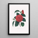 Ilustracje i opisy roślin tworzących naturalny porządek Camellieae Pl12 - Alfred Chandler