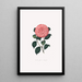 Ilustracje i opisy roślin tworzących naturalny porządek Camellieae Pl14 - Alfred Chandler