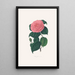 Ilustracje i opisy roślin tworzących naturalny porządek Camellieae Pl29 - Alfred Chandler — oprawiony obraz na ścianie