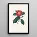 Ilustracje i opisy roślin tworzących naturalny porządek Camellieae Pl31 - Alfred Chandler