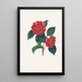 Ilustracje i opisy roślin tworzących naturalny porządek Camellieae Pl32 - Alfred Chandler