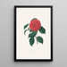 Ilustracje i opisy roślin tworzących naturalny porządek Camellieae Pl34 - Alfred Chandler