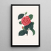 Ilustracje i opisy roślin tworzących naturalny porządek Camellieae Pl35 - Alfred Chandler