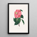 Ilustracje i opisy roślin tworzących naturalny porządek Camellieae Pl38 - Alfred Chandler — oprawiony obraz na ścianie