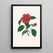Ilustracje i opisy roślin tworzących naturalny porządek Camellieae Pl39 - Alfred Chandler — oprawiony obraz na ścianie