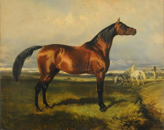 Alfred De Dreux - Caballos en libertad.webp