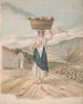 Samica kolportera z Port Orotava - Alfred Diston — widok dzieła
