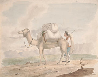 Alfred Diston - Loaded Camel.webp
