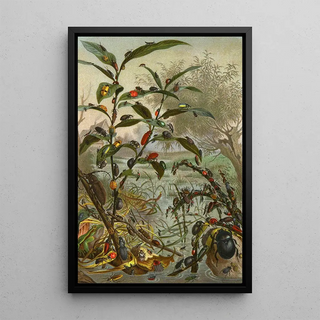Alfred Edmund Brehm - Die Insekten Tausendfussler und Spinnen Pl 02.webp