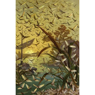 Alfred Edmund Brehm - Die Insekten Tausendfussler und Spinnen Pl 14.webp