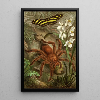 Alfred Edmund Brehm - Die Insekten Tausendfussler und Spinnen Pl 21.webp
