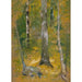 Onteora - Alice Pike Barney — widok dzieła