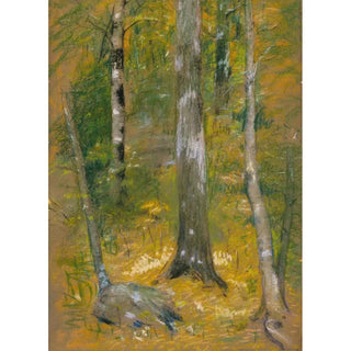 Alice Pike Barney - Onteora.webp