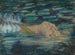 Ophelia - Alice Pike Barney — widok dzieła