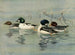 GoldenEye Barrows - Allan Brooks — widok dzieła