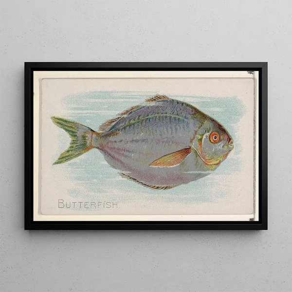 Poisson-butter - Allen Ginter — oprawiony obraz na ścianie