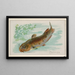 Poisson-chat - Allen Ginter — oprawiony obraz na ścianie